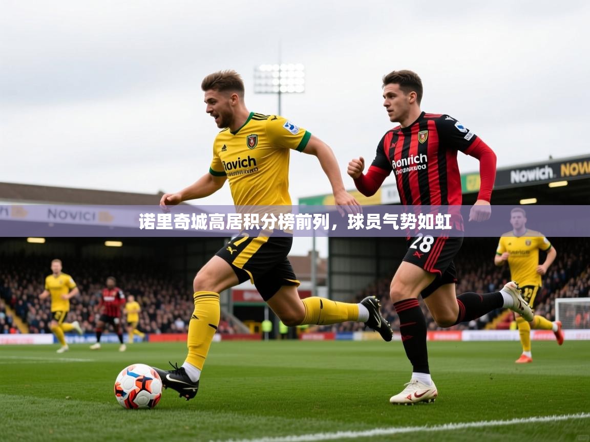 2025九游棋牌娱乐app诺里奇城高居积分榜前列，球员气势如虹  第2张