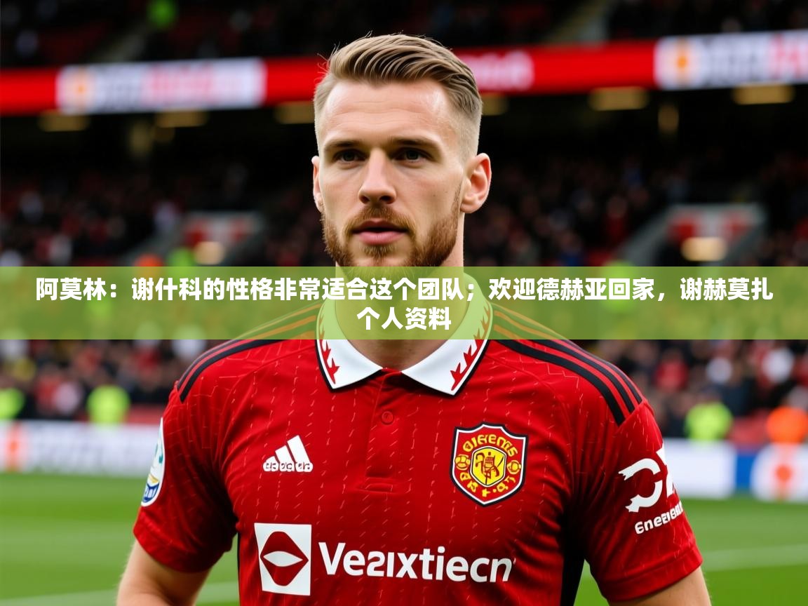 2025九游娱乐app赞助不莱梅阿莫林：谢什科的性格非常适合这个团队；欢迎德赫亚回家，谢赫莫扎个人资料