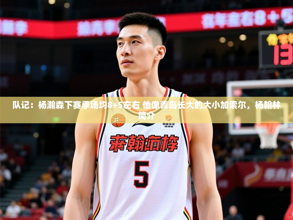 2025九游娱乐app官方入口队记：杨瀚森下赛季场均8+5左右 他像青岛长大的大小加索尔，杨翰林简介  第1张