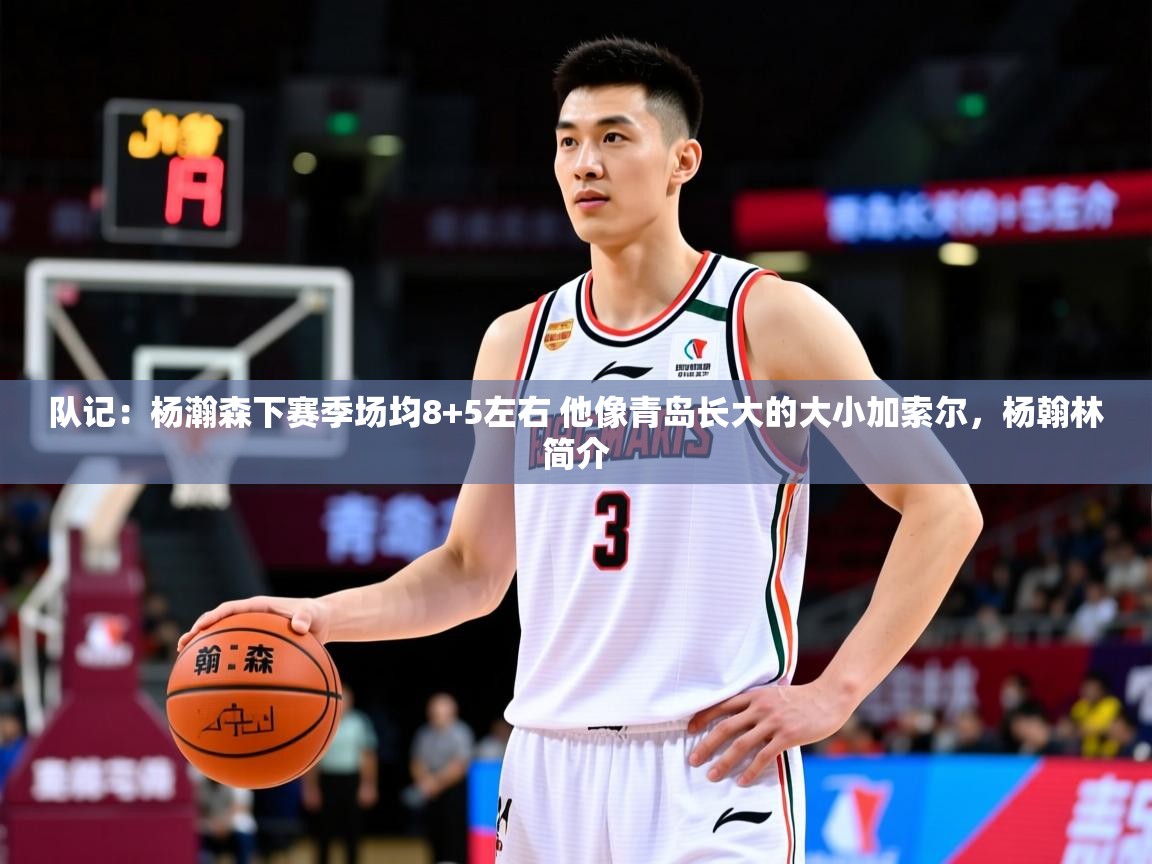 2025九游娱乐app官方入口队记：杨瀚森下赛季场均8+5左右 他像青岛长大的大小加索尔，杨翰林简介  第2张