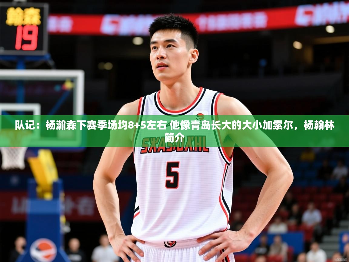 2025九游娱乐app官方入口队记：杨瀚森下赛季场均8+5左右 他像青岛长大的大小加索尔，杨翰林简介  第3张