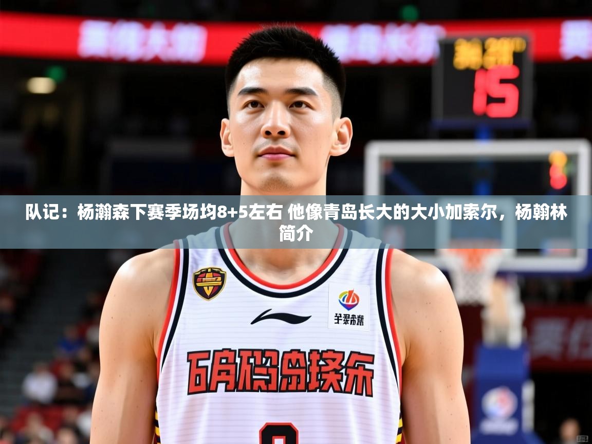 2025九游娱乐app官方入口队记：杨瀚森下赛季场均8+5左右 他像青岛长大的大小加索尔，杨翰林简介  第4张