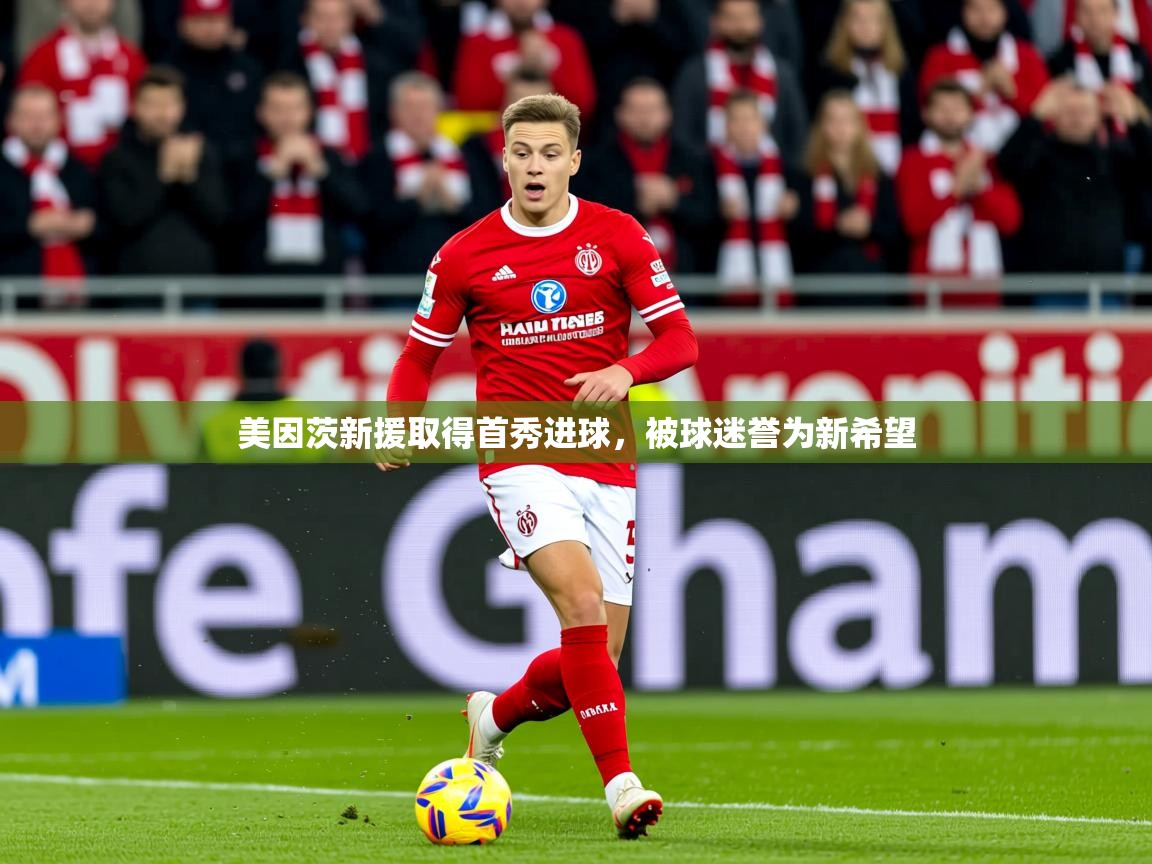 2026九游app官网入口美因茨新援取得首秀进球，被球迷誉为新希望  第2张