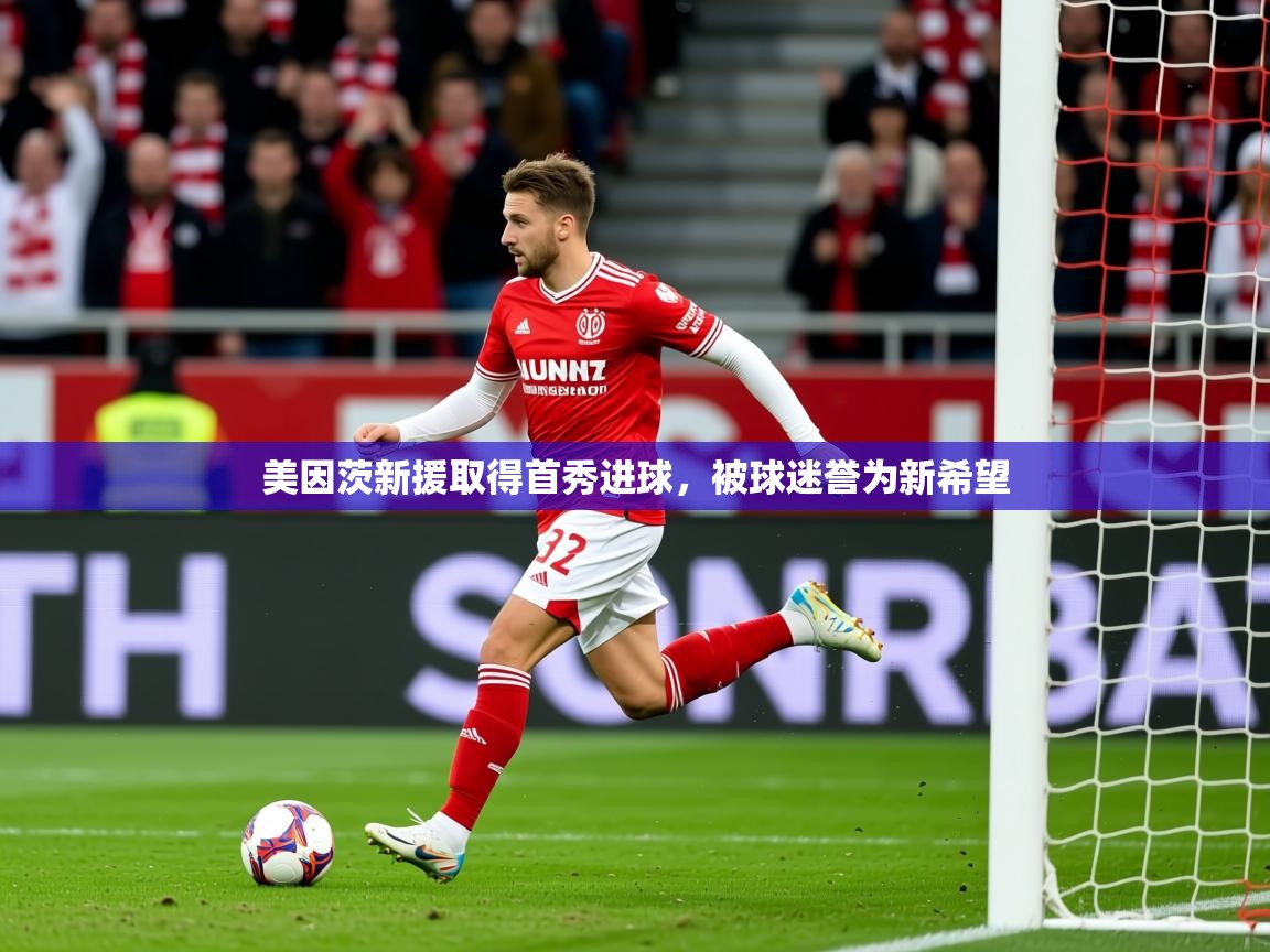 2026九游app官网入口美因茨新援取得首秀进球，被球迷誉为新希望  第4张